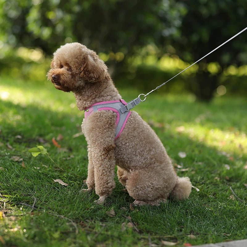 Harnais chien en tout confort Parfait pour sa sécurité - Monchienzen