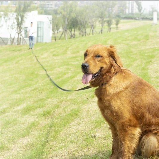 Laisse pour Chien, Élégance, Liberté Colorée - Monchienzen