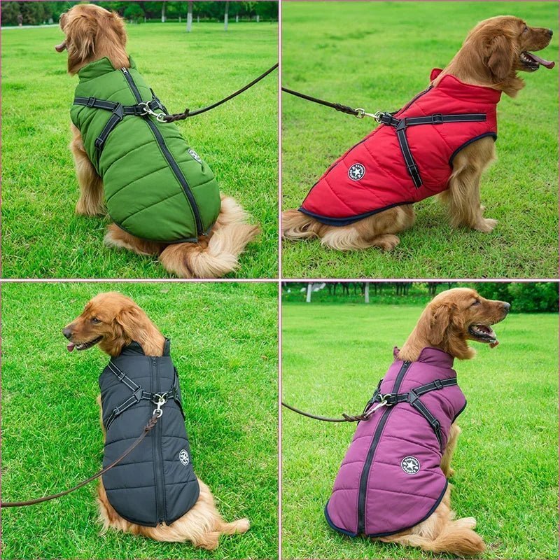 Manteau Chien : Confort et harnais Sécuritaire Optimal - Monchienzen