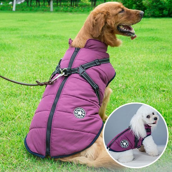 Manteau Chien : Confort et harnais Sécuritaire Optimal - Monchienzen