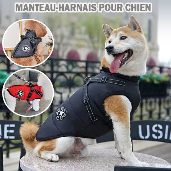 Manteau Chien : Confort et harnais Sécuritaire Optimal - Monchienzen