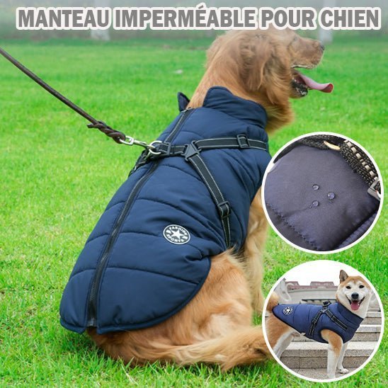 Manteau Chien : Confort et harnais Sécuritaire Optimal - Monchienzen